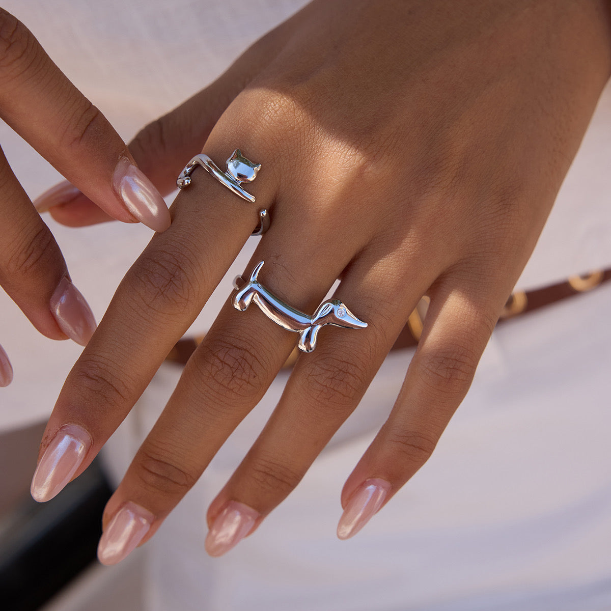 Anillos