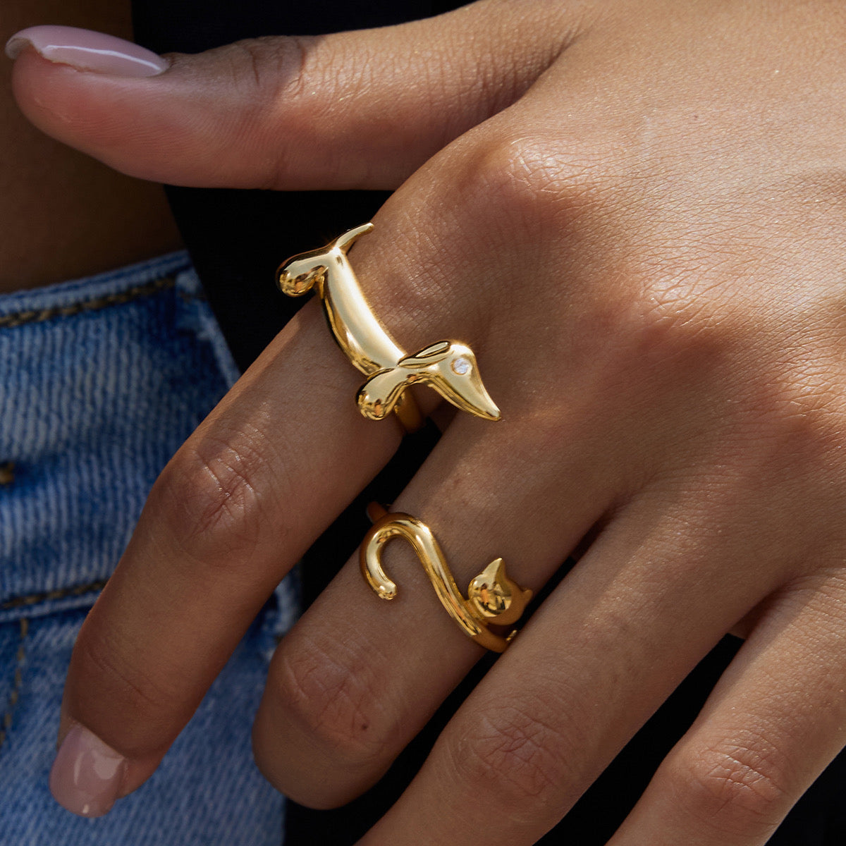 Anillos de perro y gato